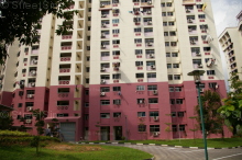 Blk 288C Bukit Batok Street 25 (Bukit Batok), HDB 4 Rooms #335062